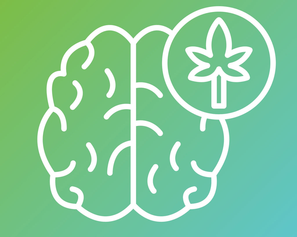 Découvrez Comment Votre Corps Génère Naturellement du CBD pour Apaiser le Stress