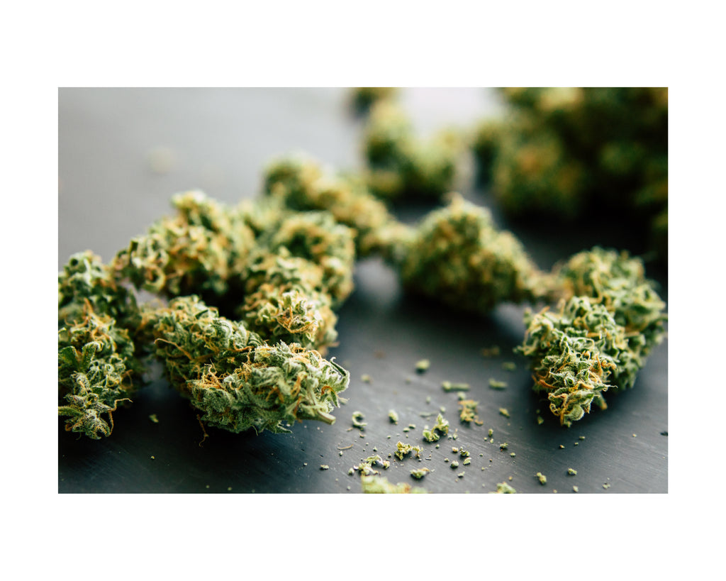 Comprendre la différence entre le Cannabis, le Chanvre et le CBD : après l'autorisation de la vente de fleurs de CBD en décembre 2022